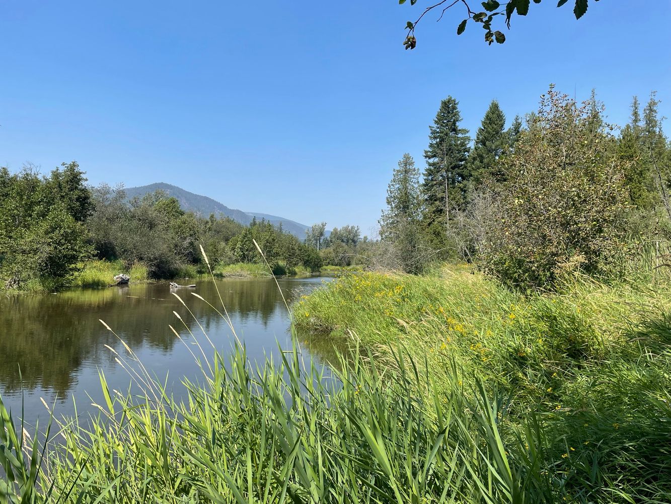 476910 Hwy 95, Ponderay, ID 83852